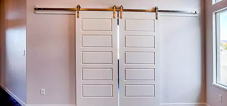 Glass Barn Door with Installation Hardware Kit Stoneham